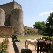 Semur-en-Brionnais-bourgondie-kasteel-paarden-dorp-1000