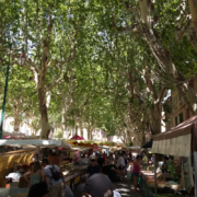 Markt met platanen in Cotignac in de Provence, Frankrijk